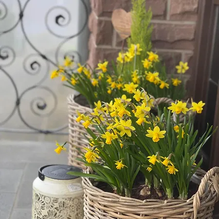 Holiday home Schmitz Haus