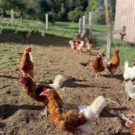 Schmitz Haus Holiday home