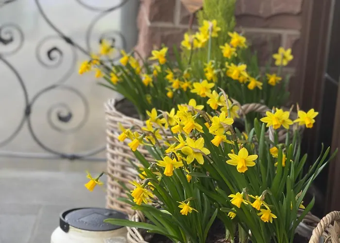 Vakantiehuis Schmitz Haus