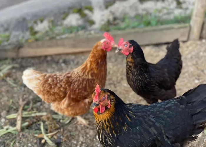 Schmitz Haus * Meckel